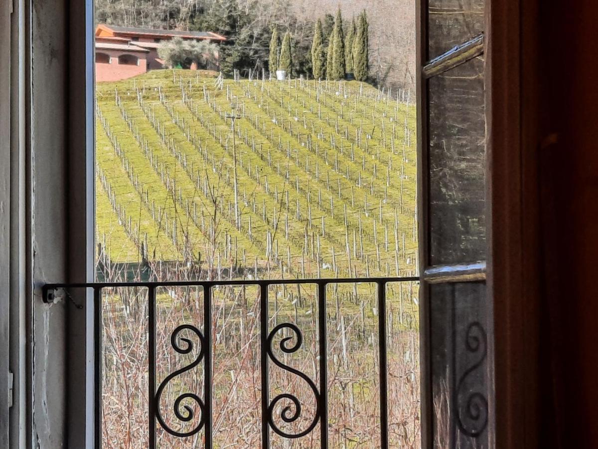 Agriturismo Tenuta Adamo Лука Екстериор снимка