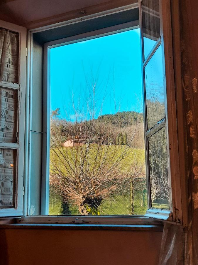 Agriturismo Tenuta Adamo Лука Екстериор снимка